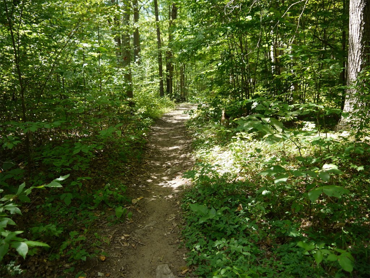 Trout Brook Valley State Park Reserve Visit CT